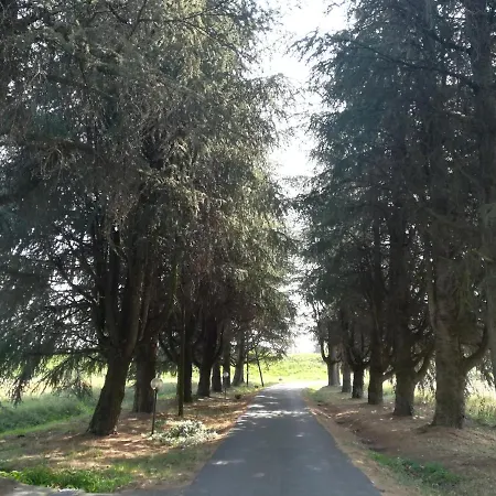 Bed & Breakfast Il Roseto