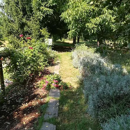 Il Roseto *