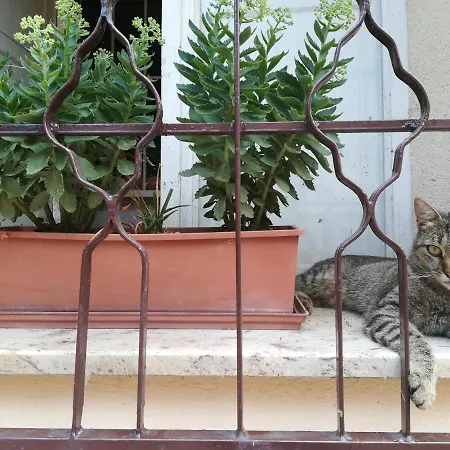 Bed & Breakfast Il Roseto Modena